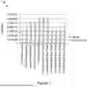 Fig. 08 - TRANSPOSASE COMPOSITIONS FOR REDUCTION OF INSERTION BIAS