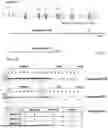 Fig. 07 - Materials and Methods for Treatment of Human Genetic Diseases Including Hemoglobinopathies