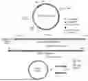 Fig. 01 - METHODS OF MAKING CIRCULAR RNA