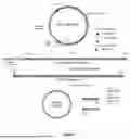 Fig. 02 - METHODS OF MAKING CIRCULAR RNA