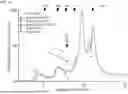Fig. 07 - RECOMBINANT NUCLEIC ACID MOLECULES AND PLASMIDS FOR INCREASING STABILITY OF GENES TOXIC TO E. COLI