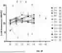 Fig. 35 - CD8 POLYPEPTIDES, COMPOSITIONS, AND METHODS OF USING THEREOF