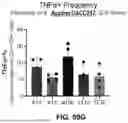 Fig. 76 - CD8 POLYPEPTIDES, COMPOSITIONS, AND METHODS OF USING THEREOF