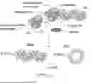 Fig. 01 - ABERRANT VIRAL RNA DETECTION USING CAS13