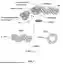 Fig. 02 - ABERRANT VIRAL RNA DETECTION USING CAS13