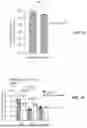 Fig. 14 - ABERRANT VIRAL RNA DETECTION USING CAS13