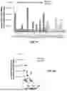 Fig. 16 - ABERRANT VIRAL RNA DETECTION USING CAS13