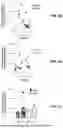 Fig. 18 - ABERRANT VIRAL RNA DETECTION USING CAS13