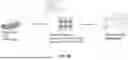 Fig. 19 - ABERRANT VIRAL RNA DETECTION USING CAS13