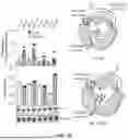 Fig. 20 - ABERRANT VIRAL RNA DETECTION USING CAS13