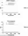 Fig. 24 - ABERRANT VIRAL RNA DETECTION USING CAS13