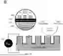 Fig. 07 - CARBON-BASED CATALYTIC DEVICES