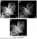 Fig. 04 - BIMETALLIC ALLOY NANOSTRUCTURES FOR EFFICIENT AMMONIA ELECTROSYNTHESIS