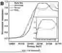 Fig. 06 - BIMETALLIC ALLOY NANOSTRUCTURES FOR EFFICIENT AMMONIA ELECTROSYNTHESIS