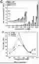 Fig. 12 - BIMETALLIC ALLOY NANOSTRUCTURES FOR EFFICIENT AMMONIA ELECTROSYNTHESIS