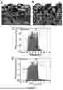 Fig. 16 - BIMETALLIC ALLOY NANOSTRUCTURES FOR EFFICIENT AMMONIA ELECTROSYNTHESIS