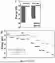 Fig. 18 - BIMETALLIC ALLOY NANOSTRUCTURES FOR EFFICIENT AMMONIA ELECTROSYNTHESIS