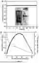 Fig. 20 - BIMETALLIC ALLOY NANOSTRUCTURES FOR EFFICIENT AMMONIA ELECTROSYNTHESIS
