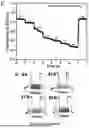 Fig. 21 - BIMETALLIC ALLOY NANOSTRUCTURES FOR EFFICIENT AMMONIA ELECTROSYNTHESIS