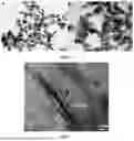 Fig. 23 - BIMETALLIC ALLOY NANOSTRUCTURES FOR EFFICIENT AMMONIA ELECTROSYNTHESIS