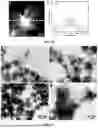 Fig. 25 - BIMETALLIC ALLOY NANOSTRUCTURES FOR EFFICIENT AMMONIA ELECTROSYNTHESIS