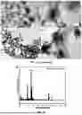 Fig. 26 - BIMETALLIC ALLOY NANOSTRUCTURES FOR EFFICIENT AMMONIA ELECTROSYNTHESIS