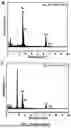 Fig. 27 - BIMETALLIC ALLOY NANOSTRUCTURES FOR EFFICIENT AMMONIA ELECTROSYNTHESIS