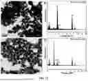 Fig. 29 - BIMETALLIC ALLOY NANOSTRUCTURES FOR EFFICIENT AMMONIA ELECTROSYNTHESIS