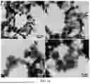 Fig. 30 - BIMETALLIC ALLOY NANOSTRUCTURES FOR EFFICIENT AMMONIA ELECTROSYNTHESIS