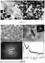 Fig. 32 - BIMETALLIC ALLOY NANOSTRUCTURES FOR EFFICIENT AMMONIA ELECTROSYNTHESIS
