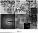 Fig. 33 - BIMETALLIC ALLOY NANOSTRUCTURES FOR EFFICIENT AMMONIA ELECTROSYNTHESIS