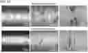 Fig. 09 - SURFACE-SMOOTHENED METAL MEMBER AND METHOD FOR MANUFACTURING SAME