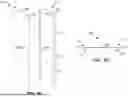 Fig. 06 - WALL PANELS AND OTHER COMPONENTS FOR CUSTOM ENCLOSURES FOR SHIPPING CONTAINERS, MOBILE UNITS AND OTHER DWELLINGS