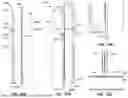 Fig. 30 - WALL PANELS AND OTHER COMPONENTS FOR CUSTOM ENCLOSURES FOR SHIPPING CONTAINERS, MOBILE UNITS AND OTHER DWELLINGS