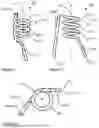 Fig. 02 - SPRING-BASED SUPPORT DEVICE FOR ANCHORING AND/OR CENTRALIZING A BOLT OR PIPE IN A BOREHOLE