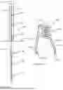 Fig. 07 - SPRING-BASED SUPPORT DEVICE FOR ANCHORING AND/OR CENTRALIZING A BOLT OR PIPE IN A BOREHOLE