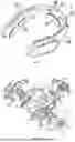 Fig. 06 - NECK FAN