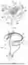 Fig. 22 - NECK FAN