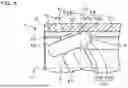 Fig. 09 - TRIPOD TYPE CONSTANT VELOCITY UNIVERSAL JOINT