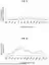 Fig. 06 - TORSIONAL DAMPER