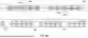 Fig. 11 - High voltage direct insert string lights