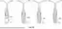 Fig. 28 - High voltage direct insert string lights