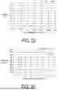 Fig. 13 - INTESTINAL INFORMATION ESTIMATION SYSTEM