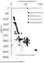 Fig. 04 - QUANTITATIVE SIMULATION METHOD FOR CONTRIBUTIONS OF THREE ORIGINS OF OVERPRESSURE IN SANDSTONE