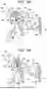 Fig. 10 - IMAGE FORMING APPARATUS