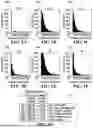 Fig. 06 - SYSTEM AND METHOD FOR DETERMINING EXPECTED LOSS USING A MACHINE LEARNING FRAMEWORK