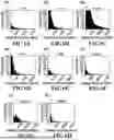 Fig. 07 - SYSTEM AND METHOD FOR DETERMINING EXPECTED LOSS USING A MACHINE LEARNING FRAMEWORK