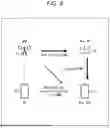 Fig. 10 - WIRELESS COMMUNICATION DEVICE, WIRELESS COMMUNICATION METHOD, AND PROGRAM