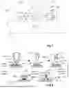 Fig. 02 - POLYMER-CONDUCTOR MATRIX ELECTRICAL INTERCONNECT