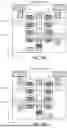 Fig. 06 - MEMORY CELL STRUCTURES USING BACKSIDE METAL CROSS-COUPLE STRUCTURES